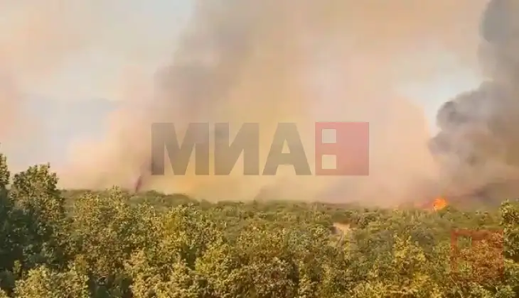 Пожар Главовица Кочани