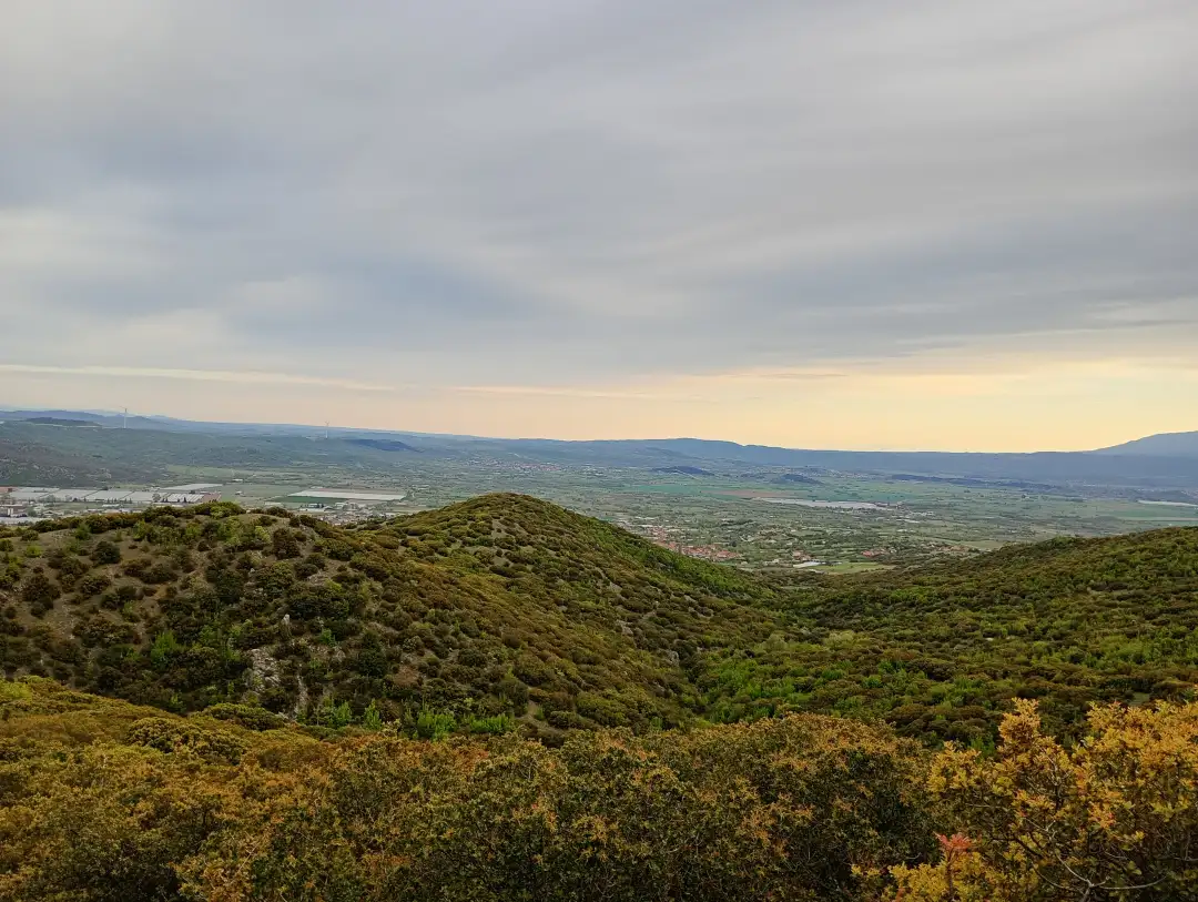Богданци Астрагалус