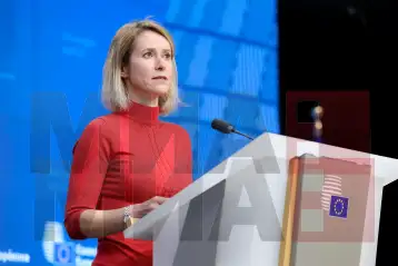 Каја Калас (Европски совет)