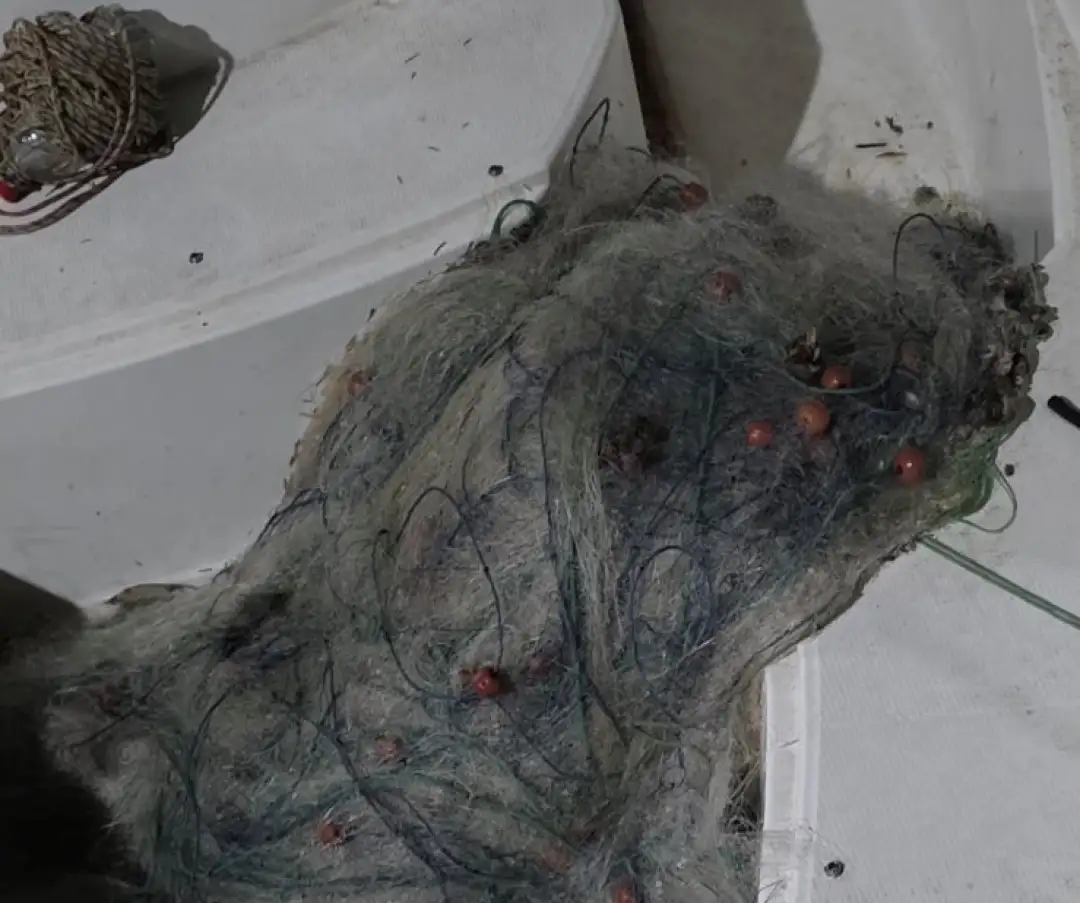 Охрид, мрежи