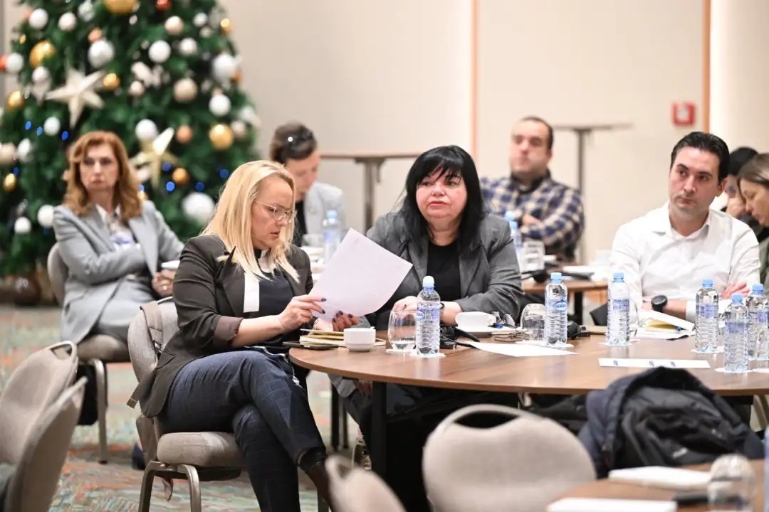 конференција УНДП - МЖСПП