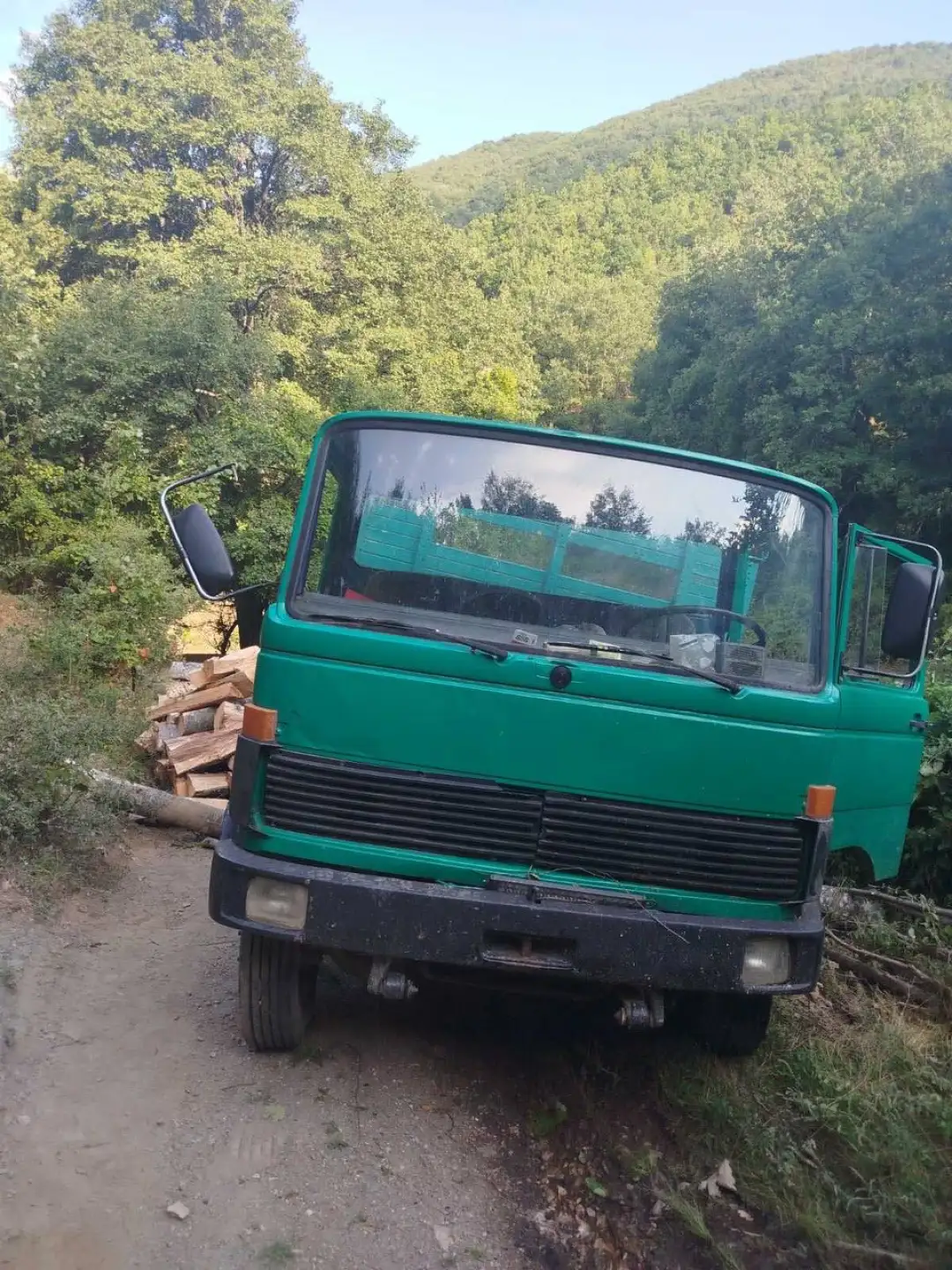 Сеча дрва кичевско