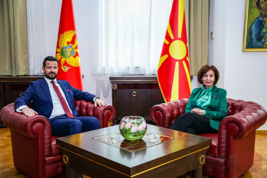 Милатовиќ Сиљановска-Давкова