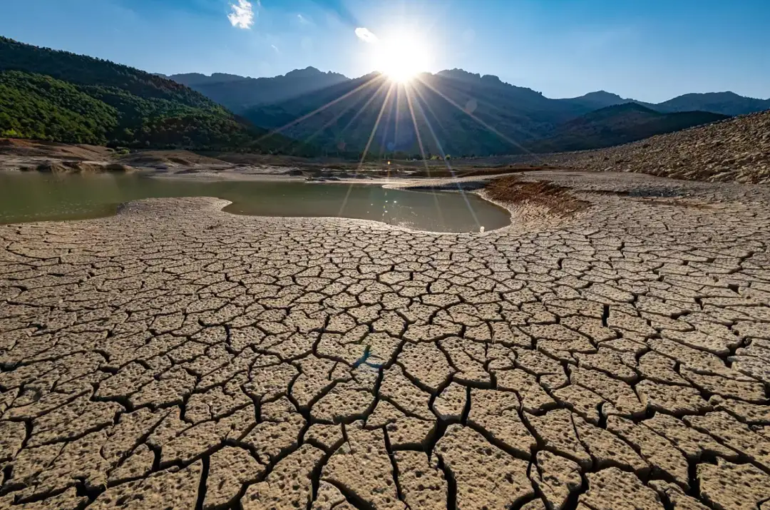 Според Организацијата за храна и земјоделство на ОН (ФАО), ерозијата на почвата може да доведе до загуба од 10 отсто во глобалното земјоделско производство до 2050 година. Со оглед на тоа што
