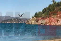 Со впишувањето на Охридско Езеро и Студенчишко Блато во Светска Рамсар листа, нашата држава, по Преспанското и Дојранското Езеро го доби третото и најголемо водно живеалиште од меѓународно зн