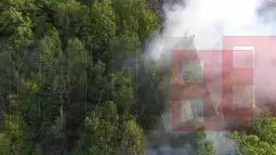 Прилепскиот кризен штаб бара воздушна поддршка во текот на утрешниот ден за да се справи со двата големи шумски пожари во околината на градот. Барањето, потврдува прилепскиот градоначалник Ил