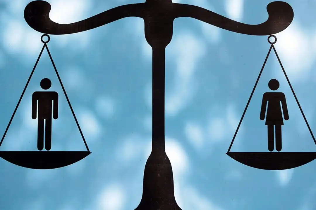 Родова еднаквост Интервенција во Кривичниот законик заради употреба на родово сензитивен речник, наспроти родово неутралниот, кој моментално се употребува, вметнување на родовата перспектива, гарантирање дека