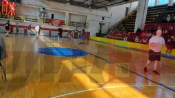 кошарка повредени