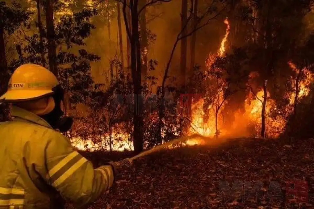 Пожарите кои беснеат во Австралија однесоа многу жртви и направија голема материјална штета. Им изразуваме сочувство на семејствата на загинатите, како и безмерна солидарност на сите граѓани 