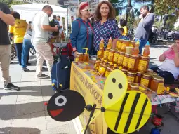 Саем на мед Прилеп 1