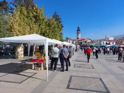 Саем на мед Прилеп 2