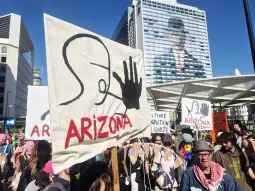 Белгија генерален штрајк (Белга)