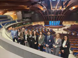 делегација на Уставен суд