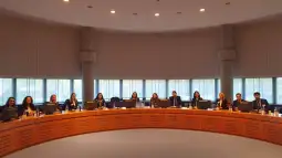 делегација на Уставен суд