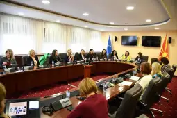 дебата во Собранието за насилство