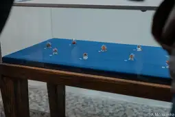 Охрид, изложба