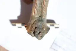 антички град градиште (МИА)