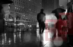 Изложба Кервин Кендел Вилиамсон