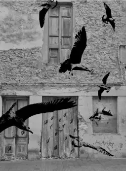 ФЛУ Скопје, меѓуакадемска, изложба, „Нишки / Threads“, Белград