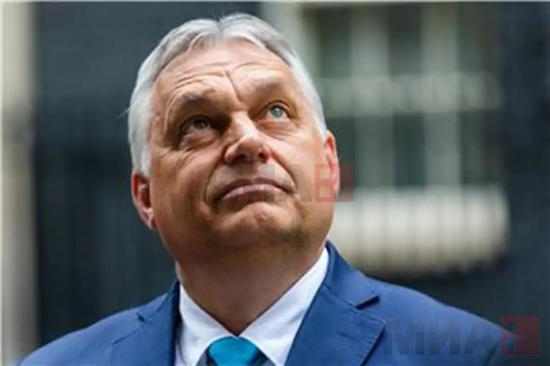 Унгарија мора да остане членка на Европската унија за да обезбеди пристап до нејзиниот единствен пазар, изјави премиерот Виктор Орбан, додавајќи дека неговата земја ќе биде меѓу последните шт