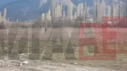 Зрновци пребарување терен