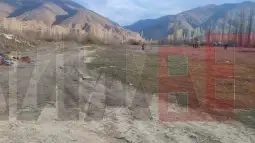 Зрновци пребарување терен