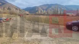 Зрновци пребарување терен