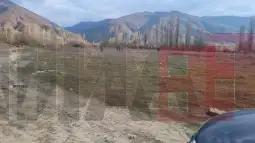 Зрновци пребарување терен