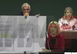 Данела Арсовска - седница на Совет на Град Скопје