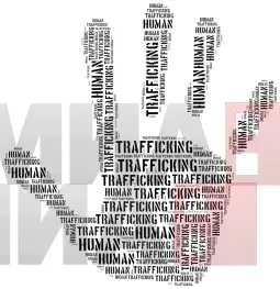 Одделот за сузбивање на организиран и сериозен криминал, Сектор за криминалистички истраги - Националната единица за сузбивање на криумчарење мигранти и трговија со луѓе под раководство на Ја