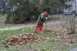 чистење паркови во Кисела Вода