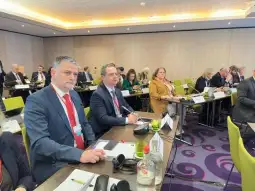 Собрание делегација Брисел