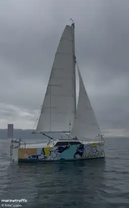 Едрилица, Ердал Лушо