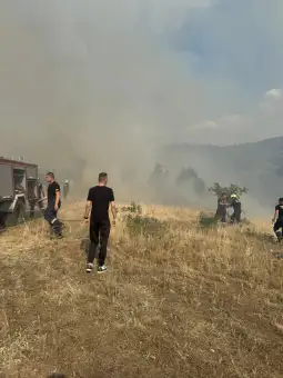 пожар Блаце