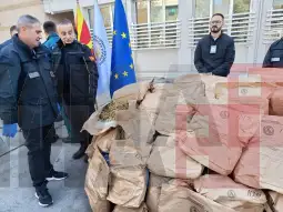 Царина, заплена, марихуана