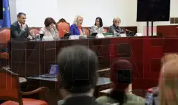 јавна расправа за Инстанбулската конвенција