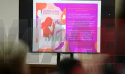 јавна расправа за Инстанбулската конвенција