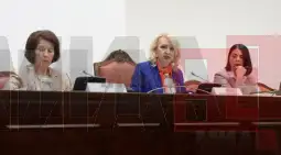 јавна расправа за Инстанбулската конвенција