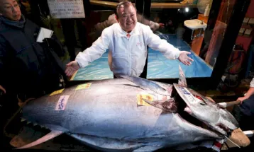 Јапонскиот „крал на туната“ купил риба од 276 килограми за еден и пол милиони евра