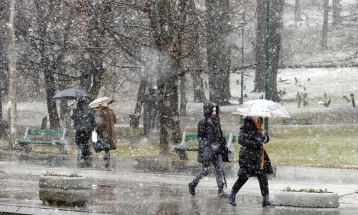 Обилни снежни врнежи и силен ветар предизвикаа проблеми во БиХ