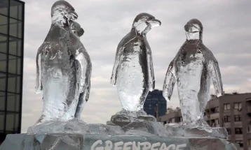 Активисти на Гринпис поставија ледена скулптура на пингвини во Загреб