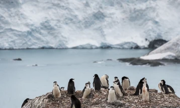 Температурата на Антарктикот повторно урива рекорди