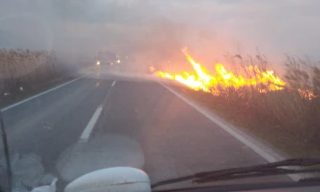 Пожарникарите од Кочани цел ноќ гасеа пожари во полскиот регион