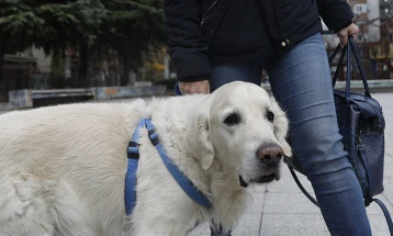 „Анима Мунди“ бара измени на забраната за движење поради физиолошките потреби на милениците