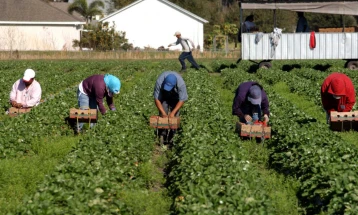 На Германија без сезонски работници и се заканува недостиг од овошје и зеленчук