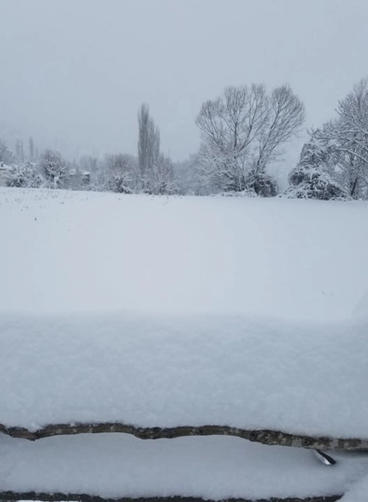 Снегот го блокира Голо Брдо