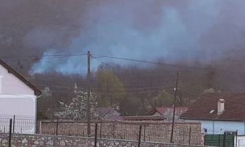 Шумски пожар близу селото Србица, Кичевско