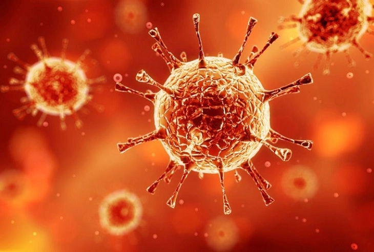 Два случаја на коронавирус во Франција - први потврдени во Европа