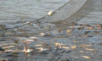 Три четвртини од рибите во Нил имаат микропластика во себе