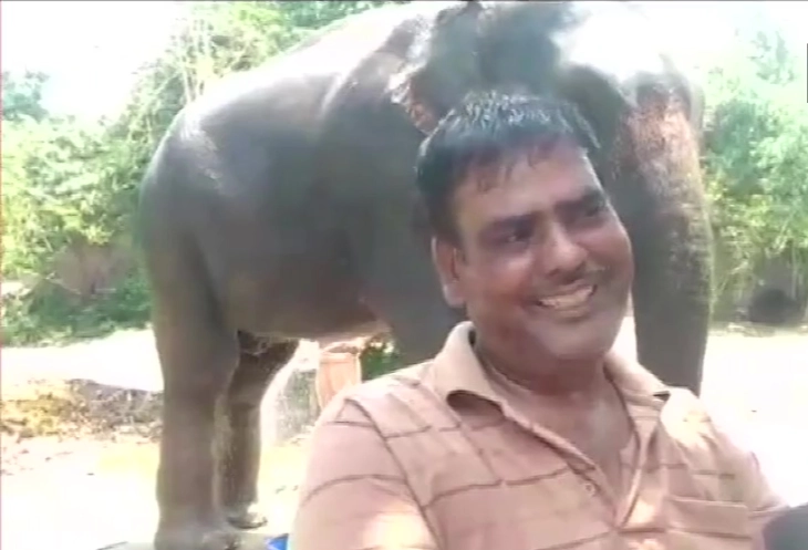 Индиец им го остави наследството на своите слонови